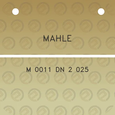 mahle-m-0011-dn-2-025