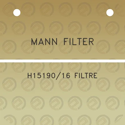 mann-filter-h1519016-filtre