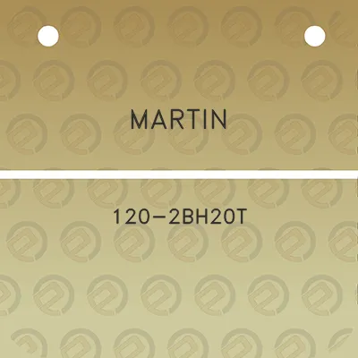 martin-120-2bh20t