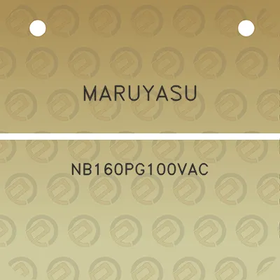 maruyasu-nb160pg100vac