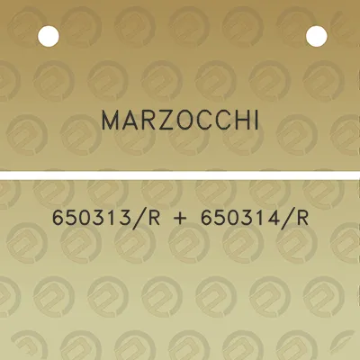 marzocchi-650313r-650314r