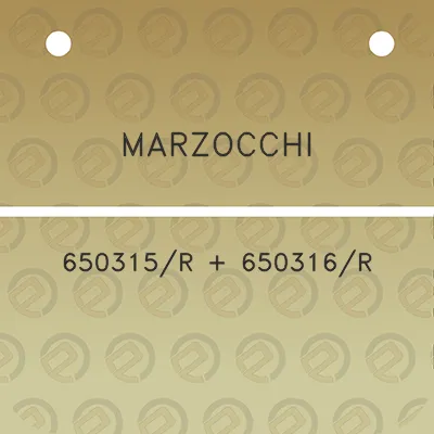 marzocchi-650315r-650316r