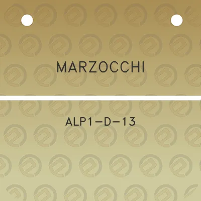 marzocchi-alp1-d-13