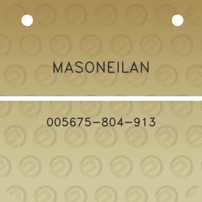 masoneilan-005675-804-913