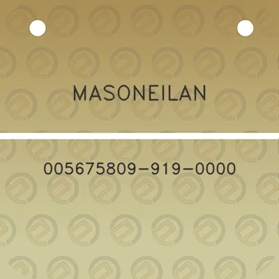 masoneilan-005675809-919-0000