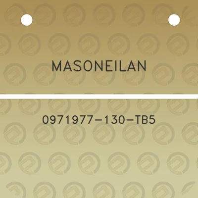 masoneilan-0971977-130-tb5