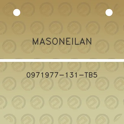 masoneilan-0971977-131-tb5