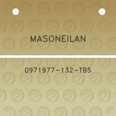 masoneilan-0971977-132-tb5