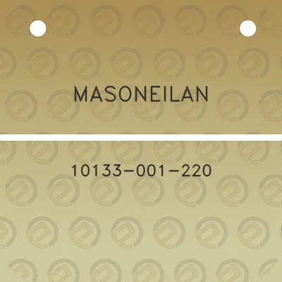 masoneilan-10133-001-220