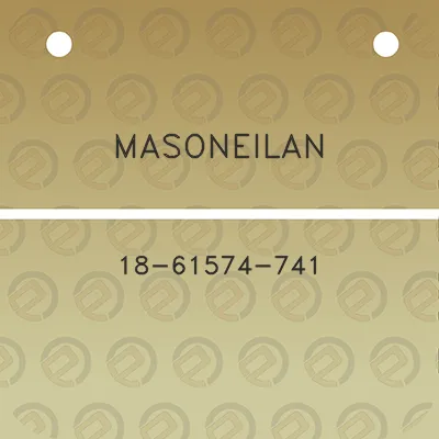 masoneilan-18-61574-741