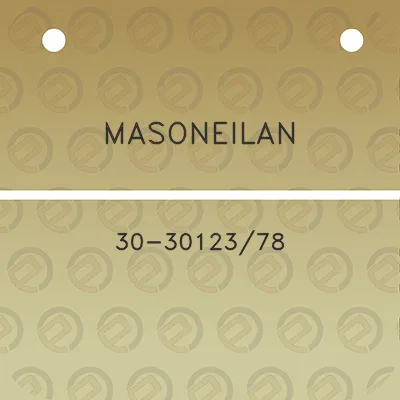 masoneilan-30-3012378