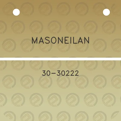 masoneilan-30-30222