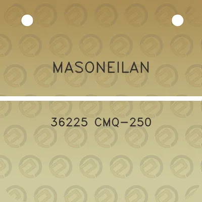 masoneilan-36225-cmq-250