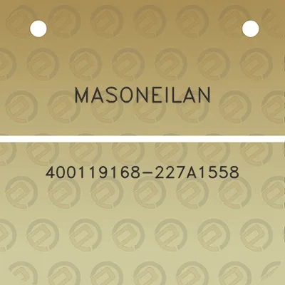 masoneilan-400119168-227a1558