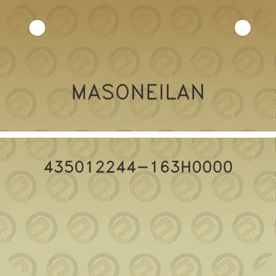 masoneilan-435012244-163h0000