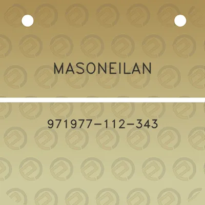 masoneilan-971977-112-343