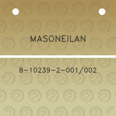 masoneilan-b-10239-2-001002