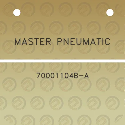 master-pneumatic-70001104b-a