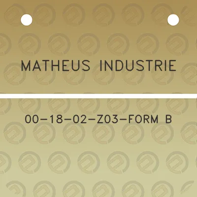 matheus-industrie-00-18-02-z03-form-b