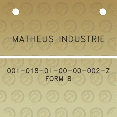 matheus-industrie-001-018-01-00-00-002-z-form-b