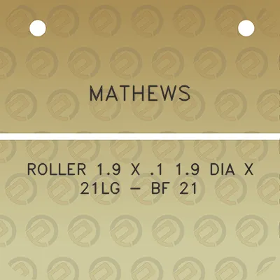 mathews-roller-19-x-1-19-dia-x-21lg-bf-21