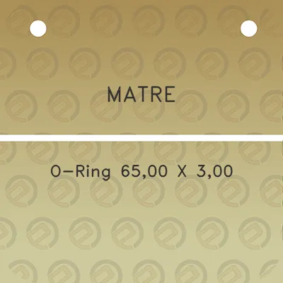 matre-o-ring-6500-x-300