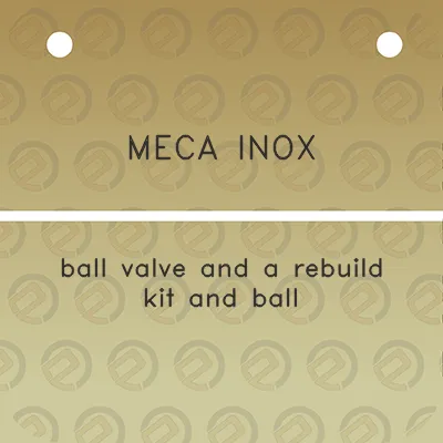 meca-inox-ball-valve-and-a-rebuild-kit-and-ball