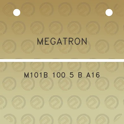 megatron-m101b-100-5-b-a16