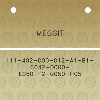 meggit-111-402-000-012-a1-b1-c042-d000-e050-f2-g050-h05