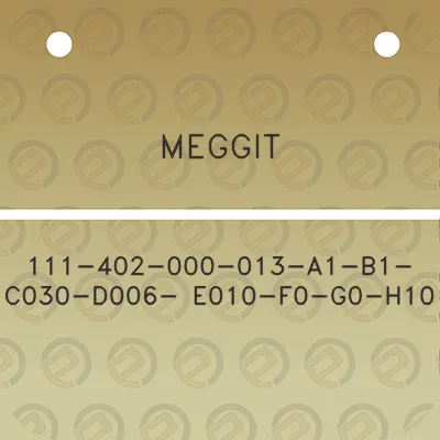 meggit-111-402-000-013-a1-b1-c030-d006-e010-f0-g0-h10