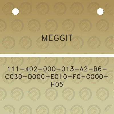 meggit-111-402-000-013-a2-b6-c030-d000-e010-f0-g000-h05