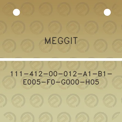 meggit-111-412-00-012-a1-b1-e005-f0-g000-h05