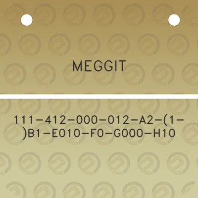 meggit-111-412-000-012-a2-1-b1-e010-f0-g000-h10