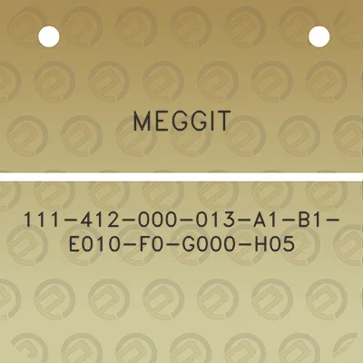 meggit-111-412-000-013-a1-b1-e010-f0-g000-h05