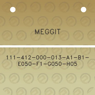 meggit-111-412-000-013-a1-b1-e050-f1-g050-h05