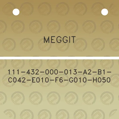 meggit-111-432-000-013-a2-b1-c042-e010-f6-g010-h050