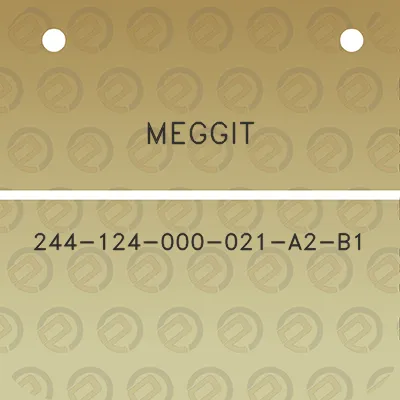 meggit-244-124-000-021-a2-b1