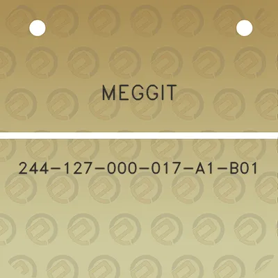 meggit-244-127-000-017-a1-b01