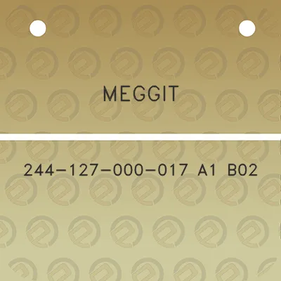 meggit-244-127-000-017-a1-b02