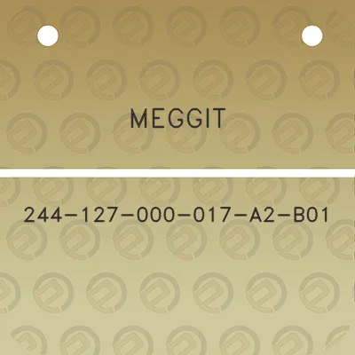 meggit-244-127-000-017-a2-b01