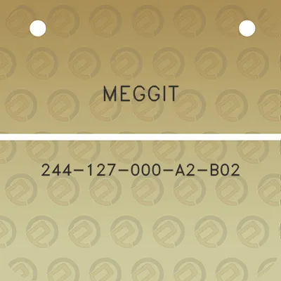 meggit-244-127-000-a2-b02