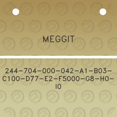 meggit-244-704-000-042-a1-b03-c100-d77-e2-f5000-g8-h0-i0