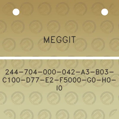 meggit-244-704-000-042-a3-b03-c100-d77-e2-f5000-g0-h0-i0