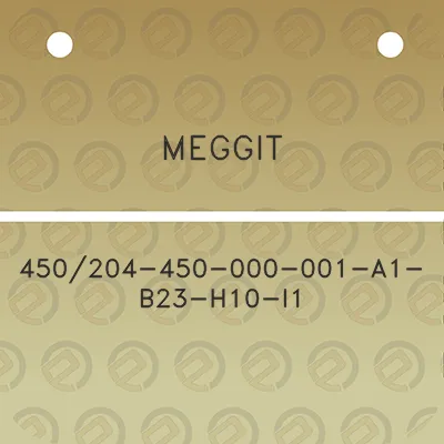 meggit-450204-450-000-001-a1-b23-h10-i1