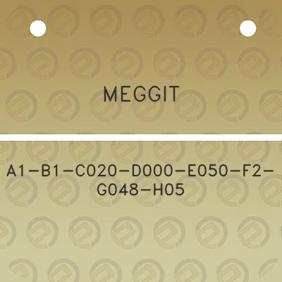 meggit-a1-b1-c020-d000-e050-f2-g048-h05