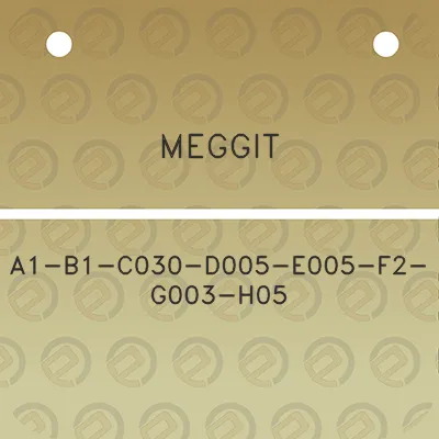 meggit-a1-b1-c030-d005-e005-f2-g003-h05