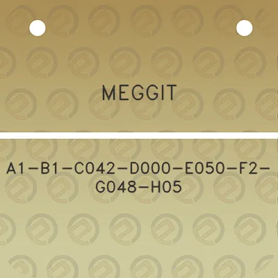 meggit-a1-b1-c042-d000-e050-f2-g048-h05