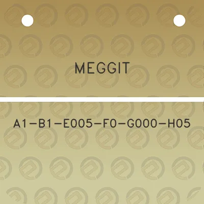 meggit-a1-b1-e005-f0-g000-h05