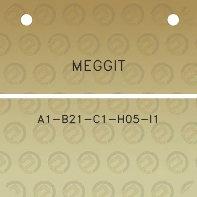 meggit-a1-b21-c1-h05-i1