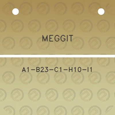 meggit-a1-b23-c1-h10-i1